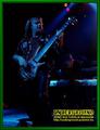 Gallery image 30