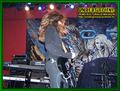 Gallery image 29