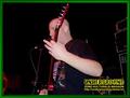 Gallery image 29