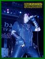 Gallery image 31