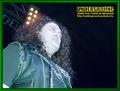 Gallery image 33