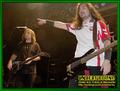Gallery image 34