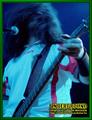 Gallery image 56