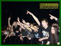 Gallery image 59