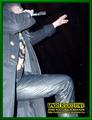 Gallery image 39