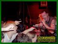 Gallery image 28