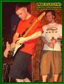 Gallery image 28