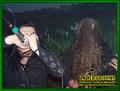 Gallery image 29
