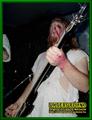 Gallery image 31