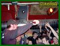 Gallery image 30