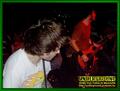 Gallery image 22