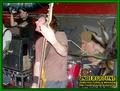 Gallery image 29
