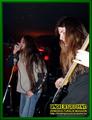 Gallery image 39
