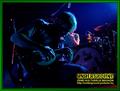 Gallery image 40