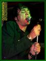 Gallery image 29