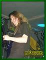 Gallery image 50