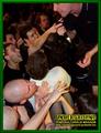 Gallery image 65