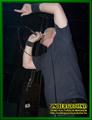 Gallery image 30