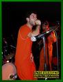 Gallery image 58