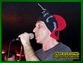 Gallery image 30