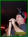 Gallery image 31