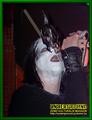 Gallery image 20