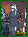Gallery image 22