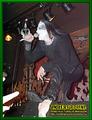 Gallery image 28