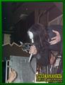 Gallery image 29
