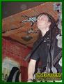 Gallery image 30