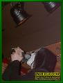 Gallery image 32