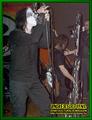 Gallery image 35