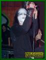 Gallery image 58
