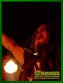 Gallery image 29