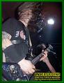 Gallery image 30