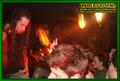 Gallery image 38