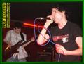 Gallery image 29
