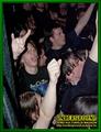 Gallery image 38