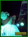 Gallery image 39