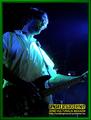 Gallery image 28