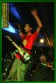 Gallery image 29