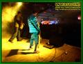 Gallery image 31