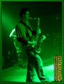 Gallery image 62