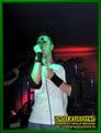 Gallery image 21