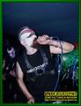 Gallery image 60