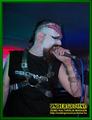 Gallery image 68