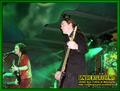 Gallery image 37