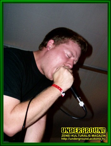 Fallen Into Ashes