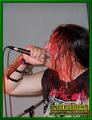 Gallery image 10