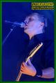 Gallery image 39